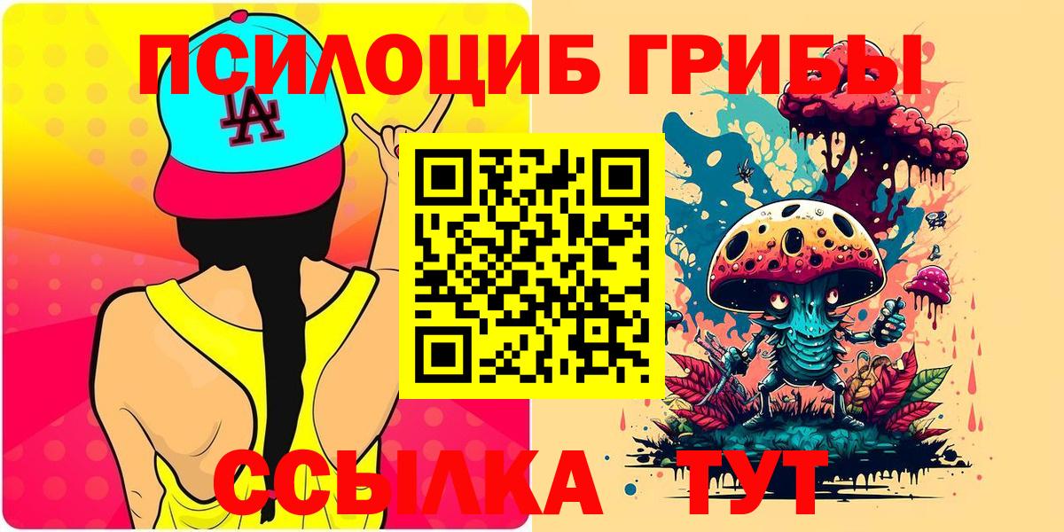 где купить   Галлюциногенные грибы MAGIC MUSHROOMS  Вход с VPN  Дзержинск 